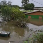 El posible desarrollo de un evento de El Niño de intensidad moderada a fuerte mantiene en alerta al sector agropecuario