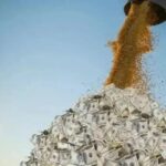 Un informe estima que el sector agropecuario representa el 22% de la actividad económica argentina