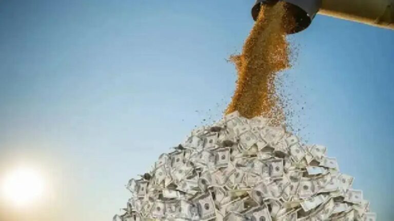 Un informe estima que el sector agropecuario representa el 22% de la actividad económica argentina