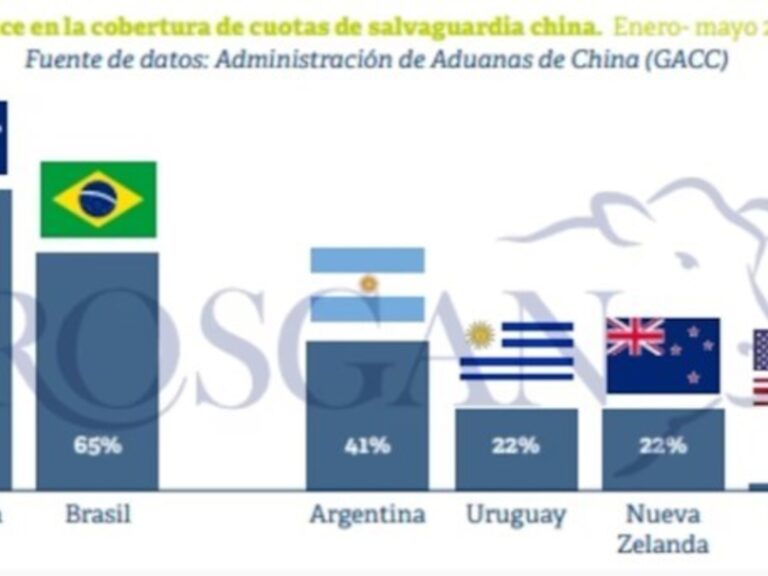 Argentina podría aprovechar una eventual mejora de los precios para exportar carne a China