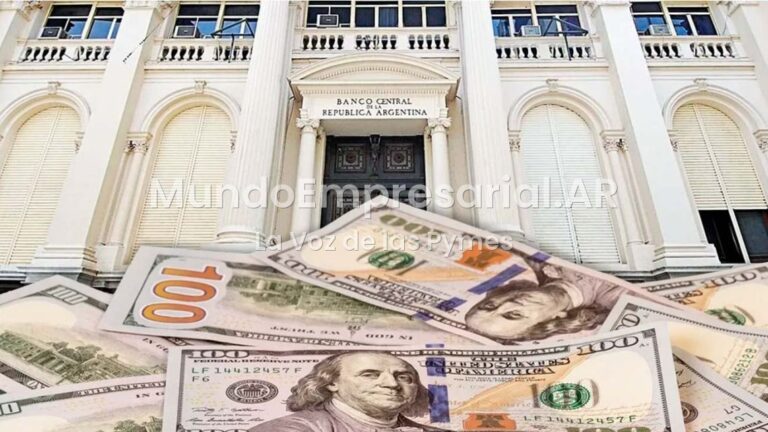 El Gobierno estudia la opción de permitir a los bancos realizar préstamos en dólares