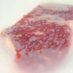 Investigaron un nuevo material para conservar la carne que promete ser revolucionario