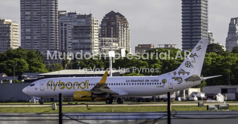 Reclamo de empleados desvinculados hace más de tres mesesFlybondi no paga las indemnizaciones ni los retiros voluntarios a más de 700 extrabajadores