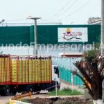 Un 25% del personalGranja Tres Arroyos despidió a más de 250 trabajadores en una planta de Entre Ríos
