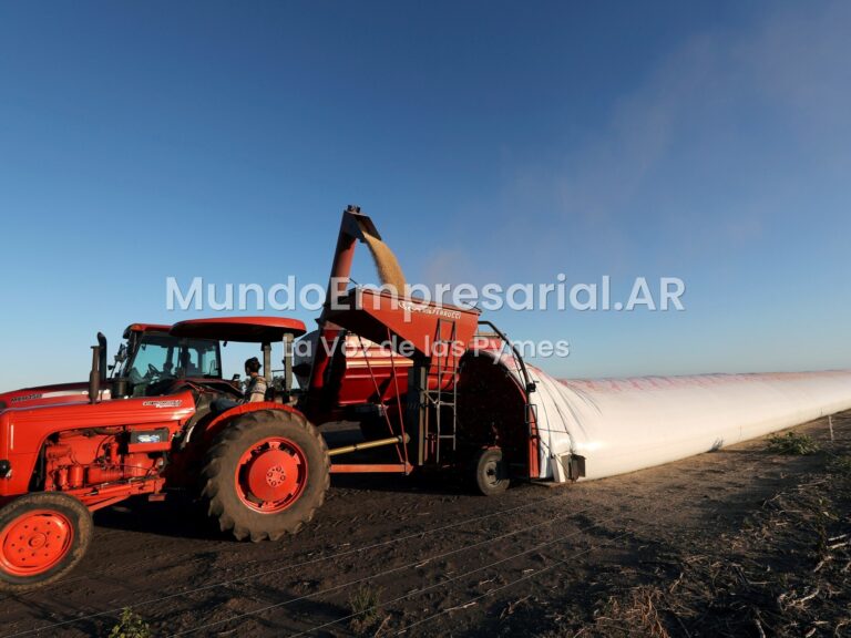 La comercialización de soja continúa retrasada y más de la mitad de la cosecha se encuentra en poder de los productores