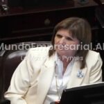 Fuerte cruce entre Patricia Bullrich y Ricardo Nissen por el proyecto de Ley de Sociedades: "Para que la gente de plata tenga más plata"