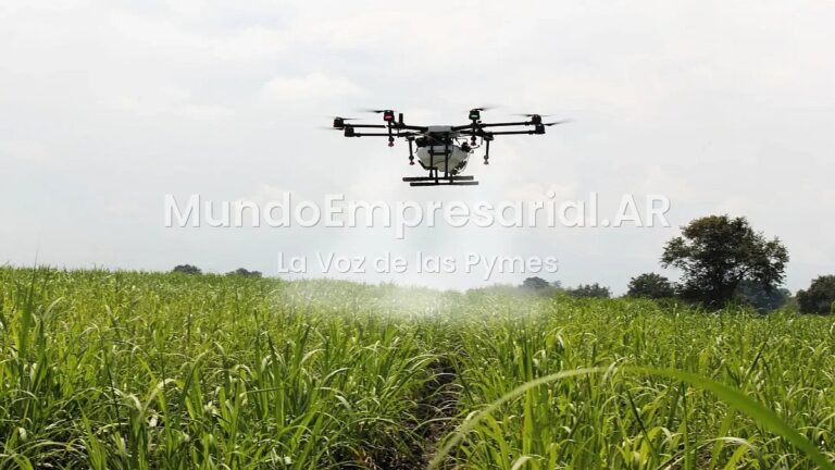 La tecnología impulsa el crédito al campo: el acceso al financiamiento digital creció 40% en el primer semestre