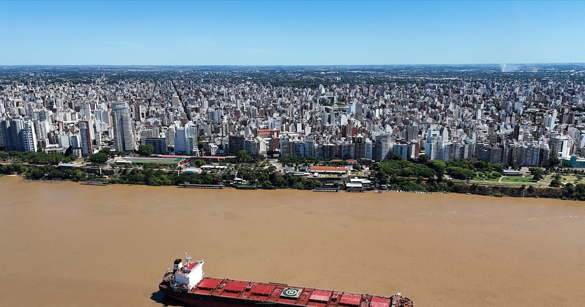 nota-24