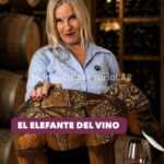 Un economista serbio explicó, con un elefante, por qué tomamos cada vez menos vino