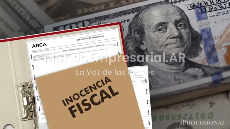 El paso a paso para ingresar los dólares del colchón si se aprueba la nueva Inocencia Fiscal