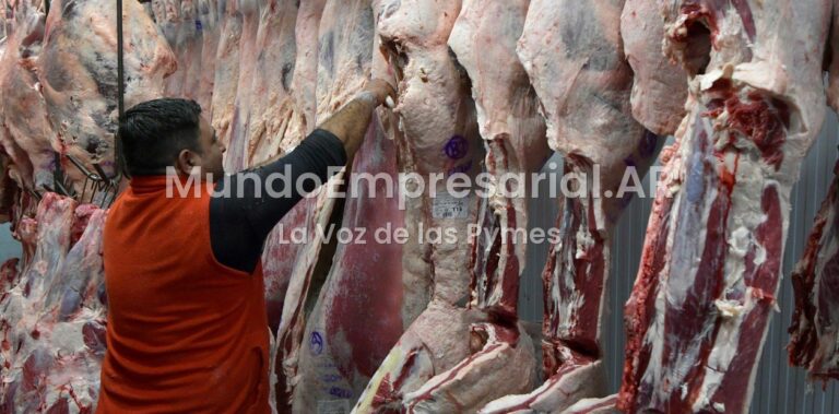 Las exportaciones de carne vacuna crecieron 42% en valor en los primeros siete meses del año