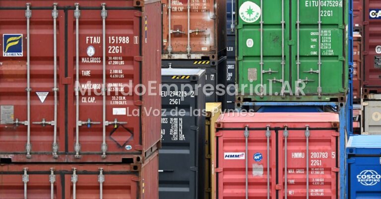 En coincidencia con la caída del salario privadoLas compras vía courier, en baja