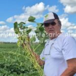 “Irrecuperable”: una empresa agropecuaria del hermano de Jorge Capitanich debe $7512 millones y está en la categoría de mayor riesgo en el Banco Central - La Nación