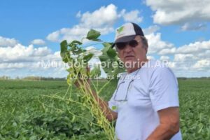 “Irrecuperable”: una empresa agropecuaria del hermano de Jor