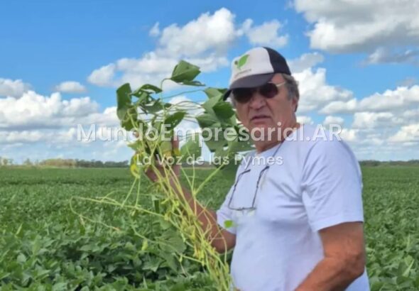 “Irrecuperable”: una empresa agropecuaria del hermano de Jorge Capitanich debe $7512 millones y está en la categoría de mayor riesgo en el Banco Central - La Nación