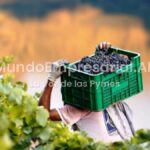 Economías regionales: la yerba mate y la vitivinicultura siguen cayendo y no encuentran piso