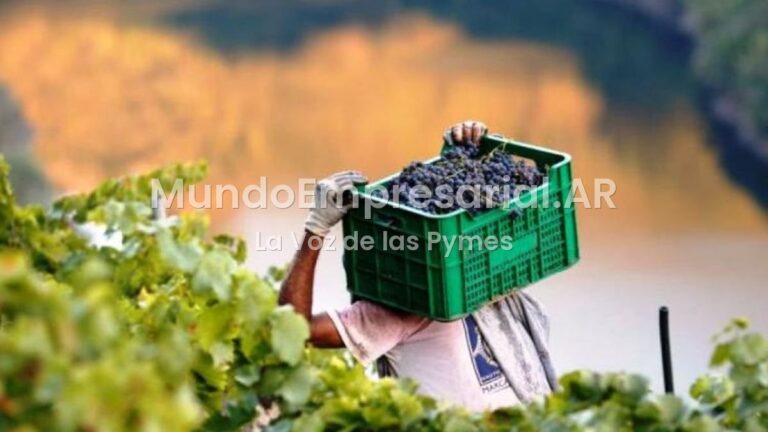 Economías regionales: la yerba mate y la vitivinicultura siguen cayendo y no encuentran piso