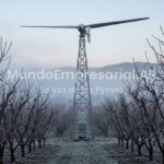 Colocaron un ventilador de 4,5 metros en una torre y salvaron sus cultivos de duraznos y frutas de las heladas
