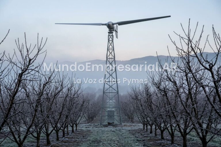 Colocaron un ventilador de 4,5 metros en una torre y salvaron sus cultivos de duraznos y frutas de las heladas