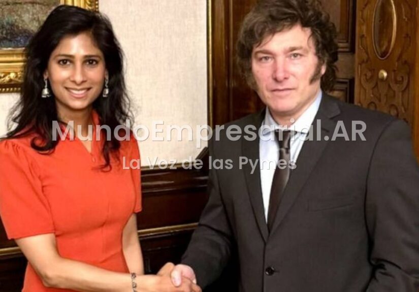 Gita Gopinath, FMI, Harvard — Gita Gopinath insiste que Argentina debe comprar más dólares