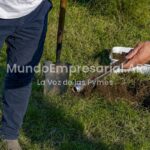 Revolucionario: 60 productores cobraron US$1,2 millones por créditos de carbono y anticipan desembolsos más grandes - La Nación