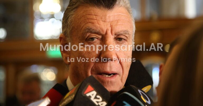 Malos números de la Cámara de Comercio, que preside el ceo Mario GrinmanUn ceo favorito de Milei da caída del consumo