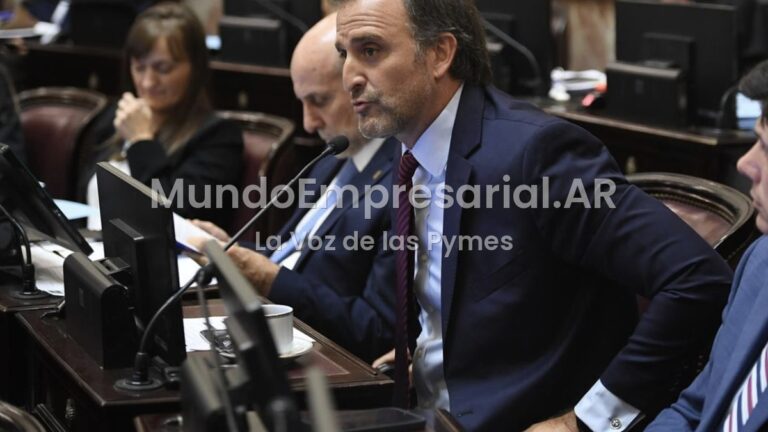 Polémica en la Cámara alta: el senador Joaquín Benegas Lynch encabeza empresa que asesora a extranjeros en la compra de tierras en Argentina