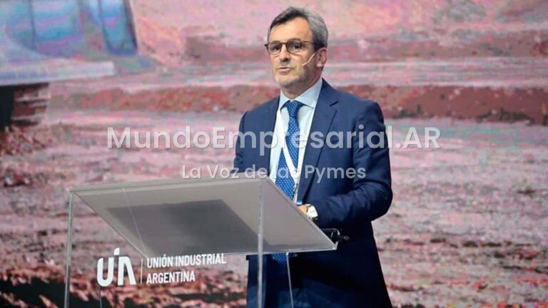"No son declaraciones felices": la respuesta de la UIA al ministro de Economía tras sus dichos sobre la industria
