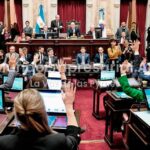 Los senadores cobrarán más de $13 millones mientras el sueldo mínimo no alcanza la canasta básica