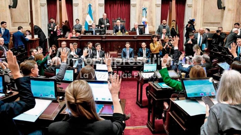 Los senadores cobrarán más de $13 millones mientras el sueldo mínimo no alcanza la canasta básica