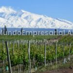 De Gualtallary a El Cepillo: cómo cambia el vino dentro del Valle de Uco - 7 Caníbales