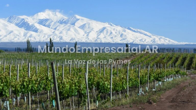 De Gualtallary a El Cepillo: cómo cambia el vino dentro del Valle de Uco - 7 Caníbales