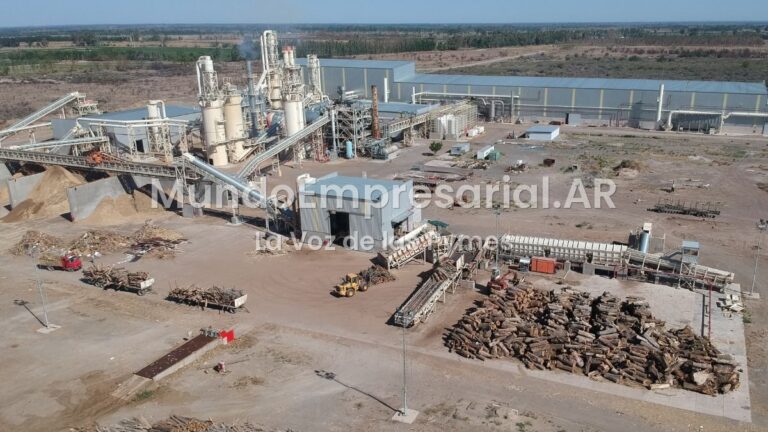 Dueños de una histórica fábrica de muebles de Mendoza confirmaron su crisis financiera - Diario UNO