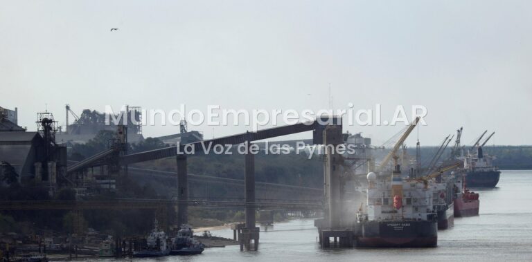 La Cámara de Exportadores proyecta un récord de US$ 103 millones y debatirá el futuro del sector con Luis Caputo y Pablo Quirno