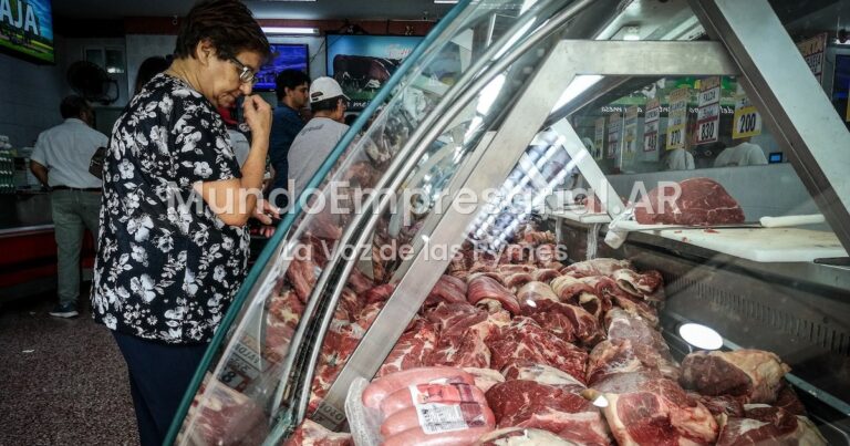 El consumo de carne cayó 9,5% en los últimos doce meses y se mantiene en mínimos históricos - infobae.com