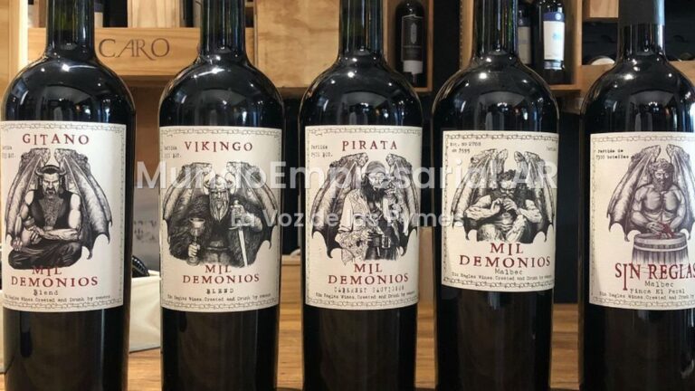 Vinos de alta gama: cómo Argentina busca convertir calidad en más dólares por botella
