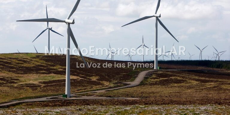 ¿Impuesto al viento?: el caso de Olavarría y qué puede cambiar con dos fallos de la Corte Suprema - Infobae