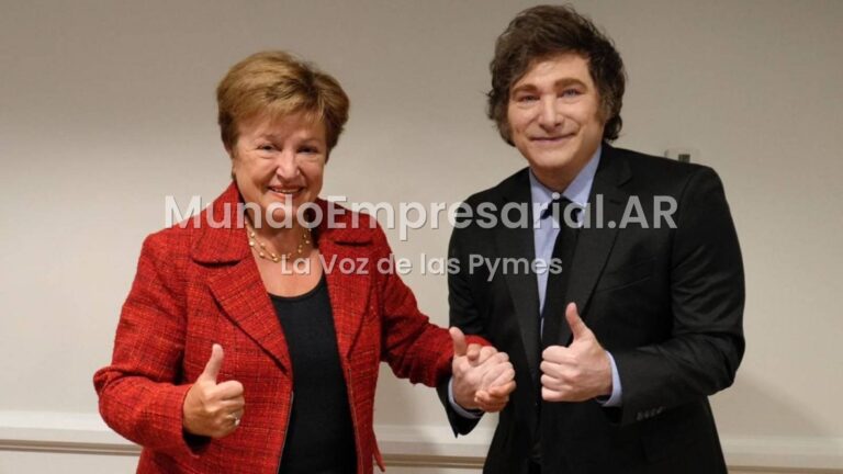 Misión del FMI a la Argentina: metas y un nuevo escenario para Milei