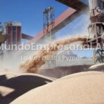 ¿Campo si, PYMES NO?: Las tres provincias con récord exportable de soja lideran la pérdida de empresas y empleos
