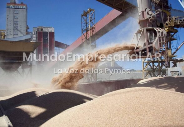 ¿Campo si, PYMES NO?: Las tres provincias con récord exportable de soja lideran la pérdida de empresas y empleos