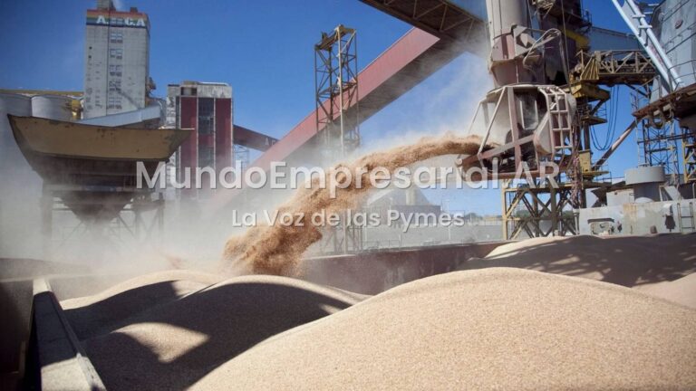 ¿Campo si, PYMES NO?: Las tres provincias con récord exportable de soja lideran la pérdida de empresas y empleos