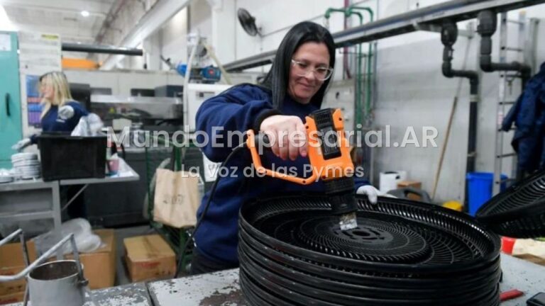 Las Pymes superan en +15 puntos a las grandes corporaciones en el ranking de equidad laboral para mujeres - Perfil