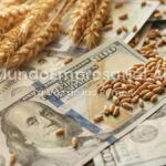 El agro proyecta una cosecha récord y exportaciones por u$s41.500 millones a pesar del Súper Niño