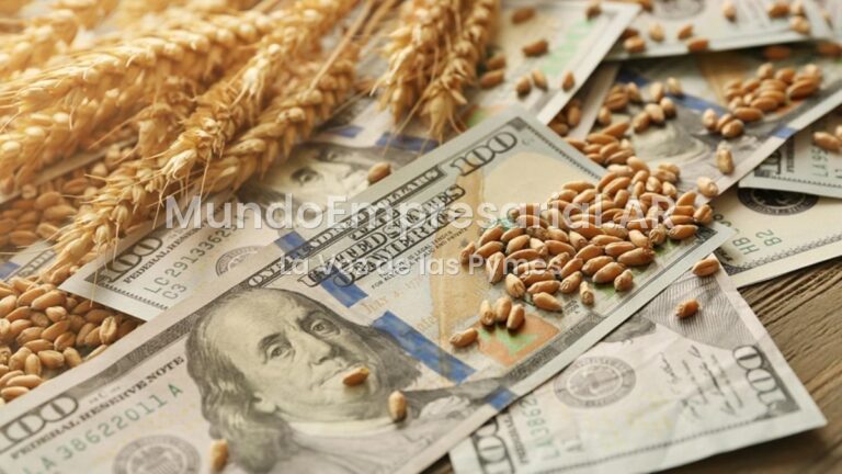 El agro proyecta una cosecha récord y exportaciones por u$s41.500 millones a pesar del Súper Niño