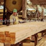 Un empresario forestal cruzó a Javier Milei: "El ajuste lo hacen las pymes y no la casta"