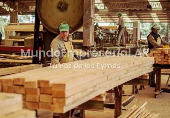Un empresario forestal cruzó a Javier Milei: "El ajuste lo hacen las pymes y no la casta"