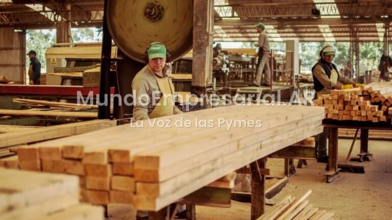Un empresario forestal cruzó a Javier Milei: "El ajuste lo hacen las pymes y no la casta"