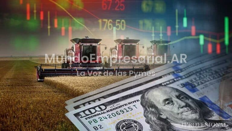 Citi y UBS anticipan más cosecha y dólares para Argentina por El Niño - iProfesional