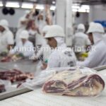 Carne y autos: pesos y dólares que sorprenden - Clarin.com
