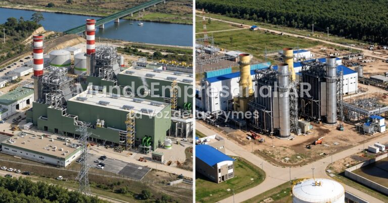 Privatización: Toto Caputo saca a la venta dos termoeléctricas para juntar u$s 800 millones - Letra P
